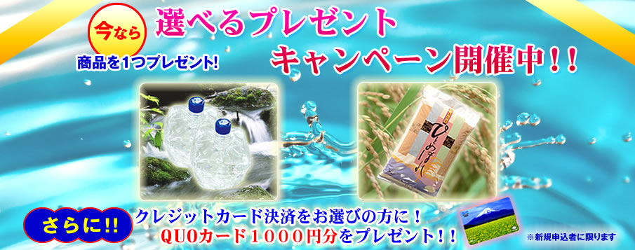 選べるプレゼントキャンペーン開催中