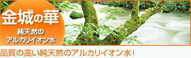 金城の華