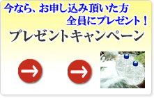 今なら、お申し込みいただいた方全員に、選べるプレゼントキャンペーン