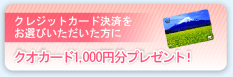 �N���W�b�g�J�[�h���ς����I�т������������Ɂu�N�I�J�[�h1,000�~���v���[���g�I�v